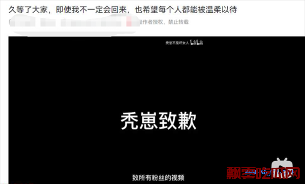 秃崽不是坏女人的事件,秃崽不是坏女人退网又回归是怎么回事?