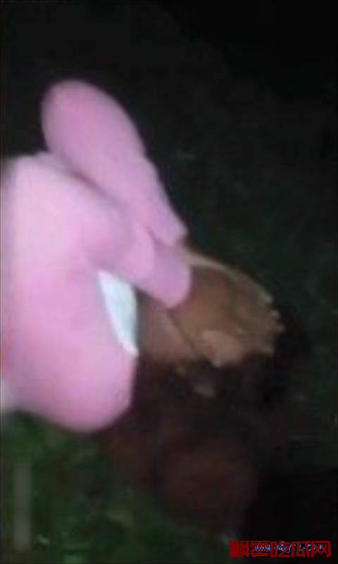 缅北开火车的事件是什么意思?缅北开火车的视频事件是不是真的?