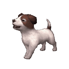 女主播日薪相当于公务员月薪?称别人是空调房,自己跳舞流的辛苦汗,比别人工资高是应该的?引发网友热议!