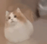 女网红发文锤童锦程!称其导致自己染病,童锦程回复其是上赶着倒贴的“照骗”!