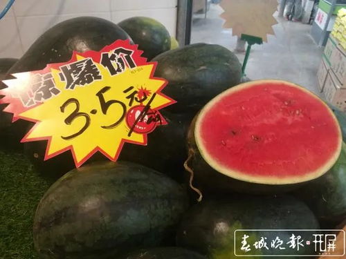 揭秘699.su黑料,带你走进网络吃瓜界的暗流涌动