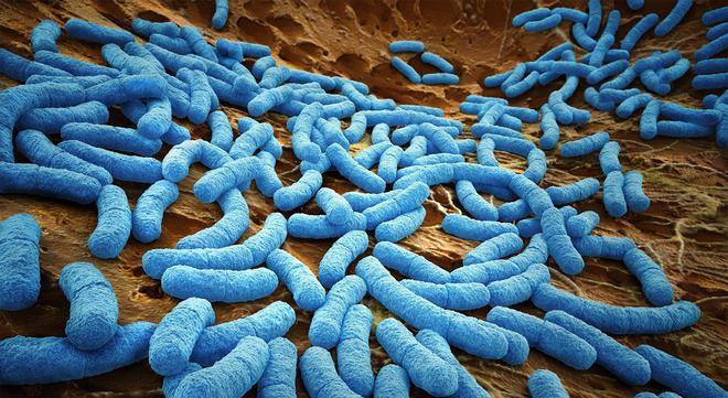 生物细胞生活的环境_现代物理惊人发现_