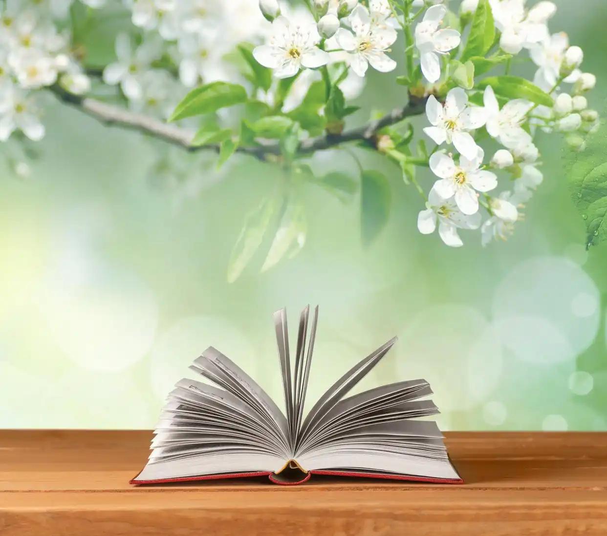 想你花开的时候_想你想到花开_