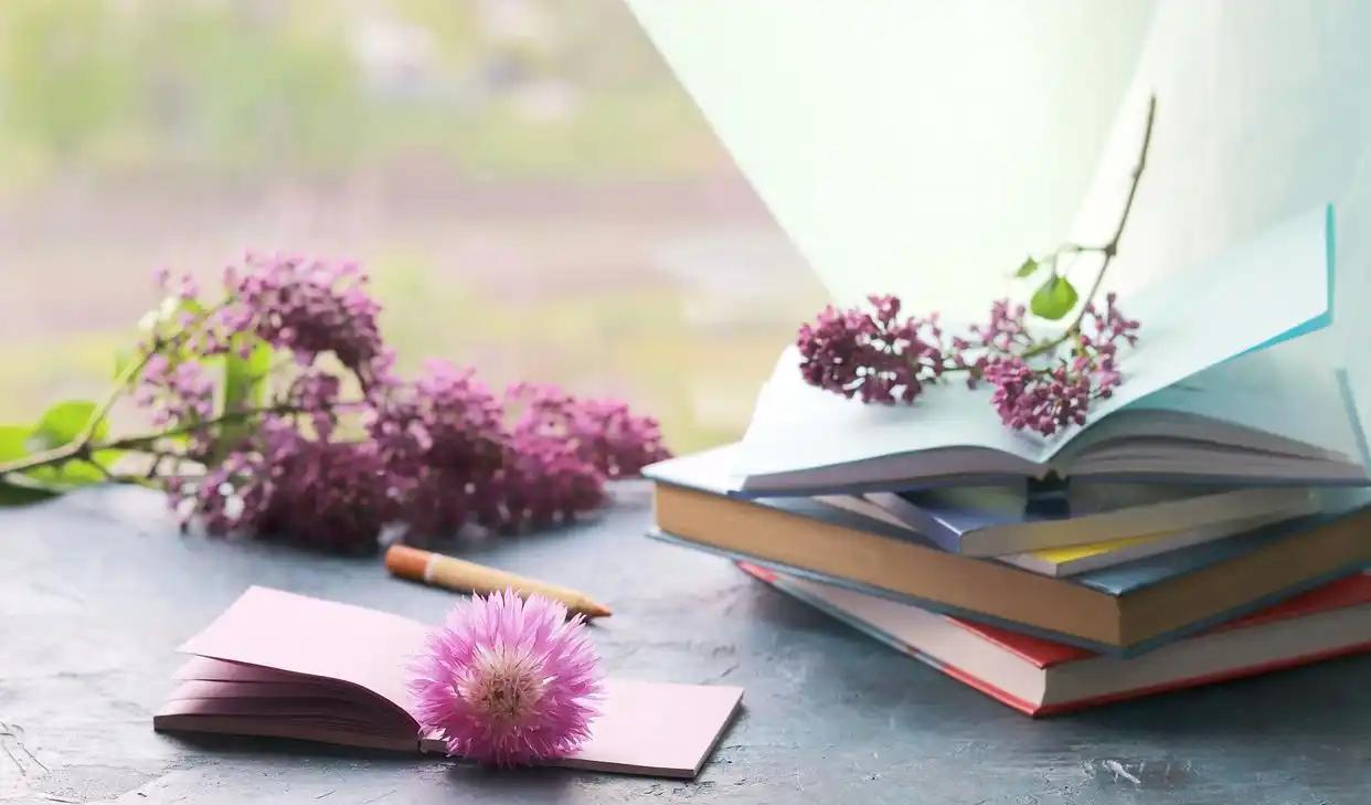 想你想到花开__想你花开的时候