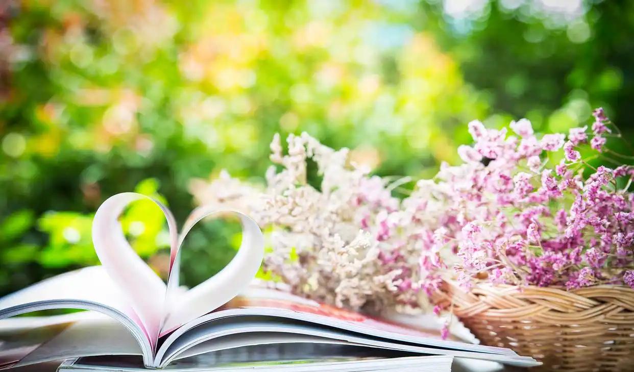 _想你花开的时候_想你想到花开