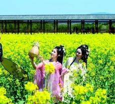 茶山上,一场生态变革悄然展开_茶山上,一场生态变革悄然展开_