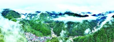 _茶山上,一场生态变革悄然展开_茶山上 ,一场生态变革悄然展开