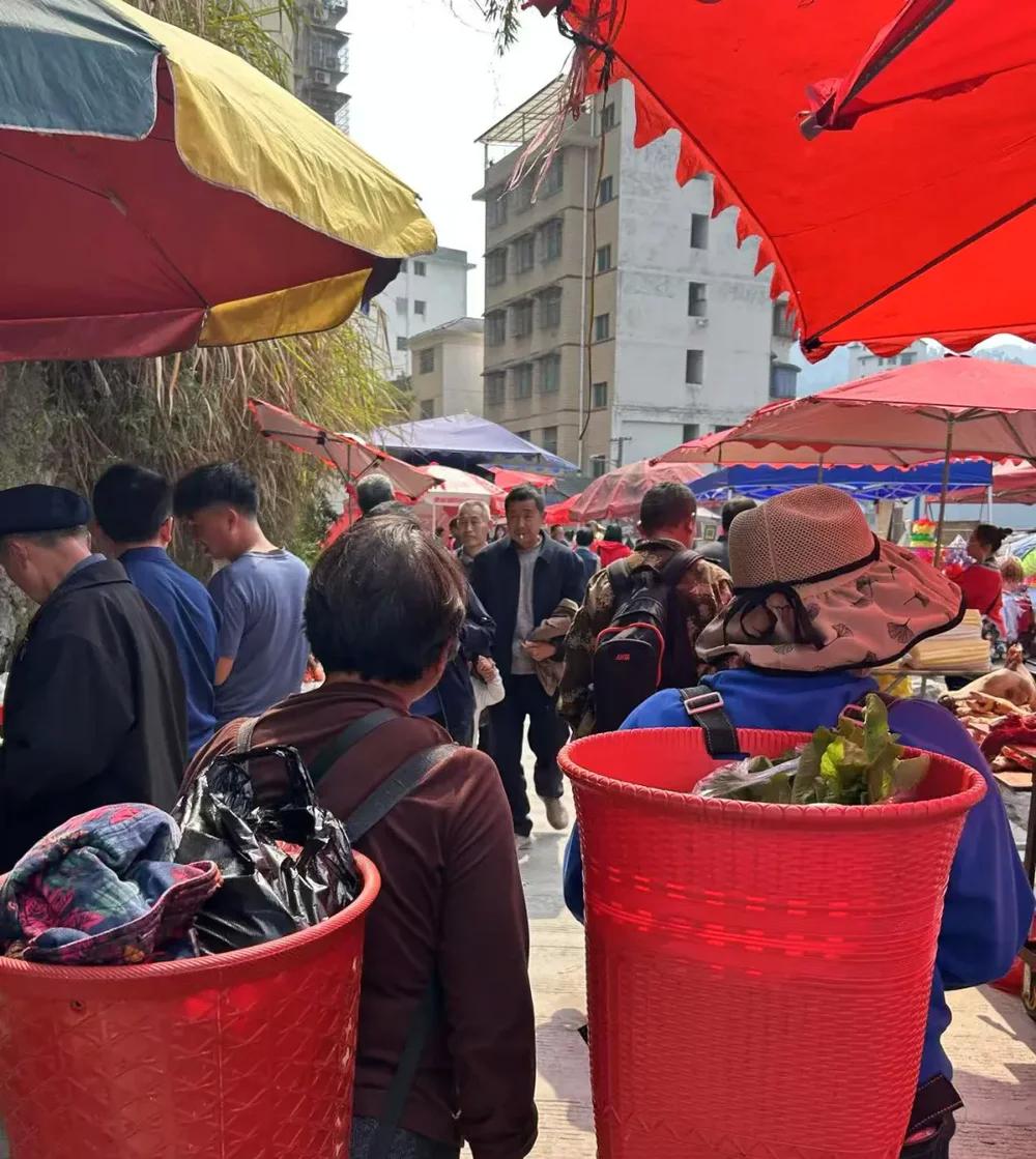 _人口小县机构改革试点方案_人口小县改革试点