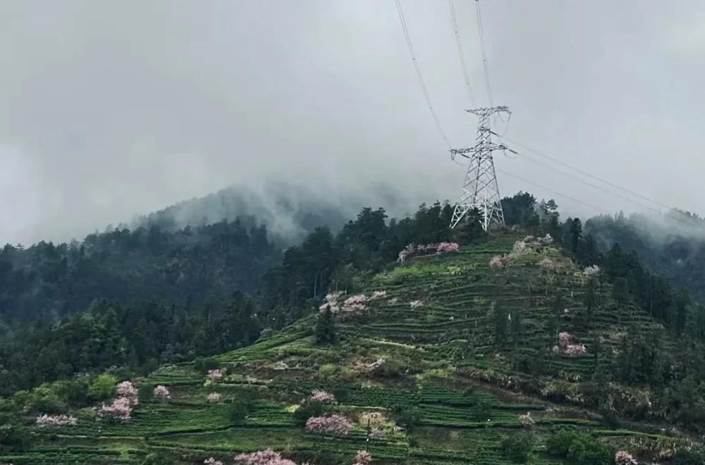 _人口小县改革试点_人口小县机构改革试点方案