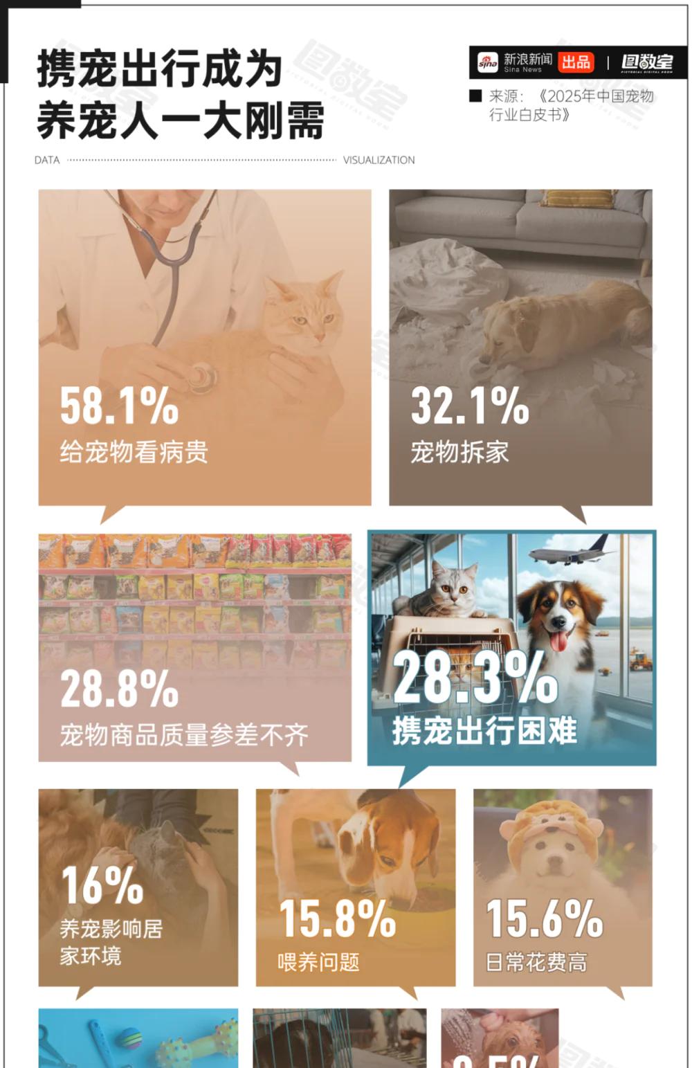 _高铁宠物最新规定_高铁有宠物票吗