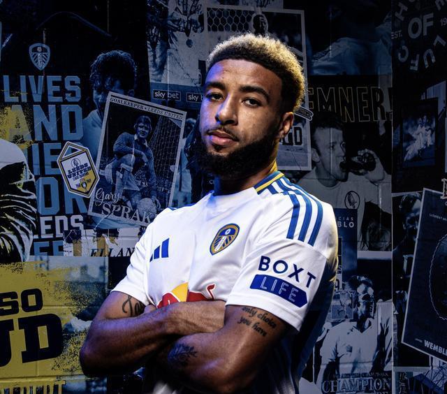 利兹联的核心驱动力 ,引进他竟然只花了500万?_利兹联的核心驱动力,引进他竟然只花了500万?_