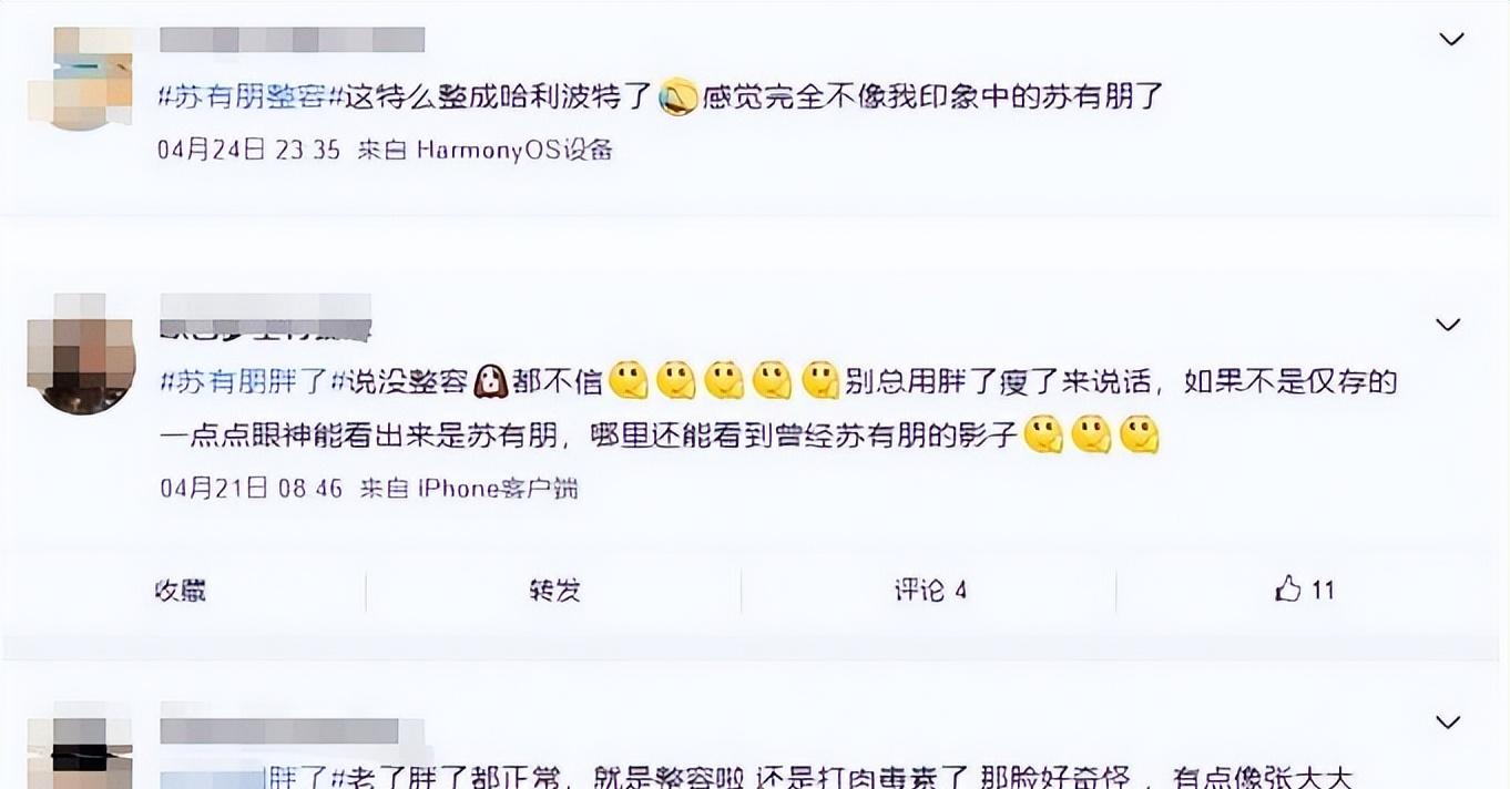 _苏有朋正容了吗_苏有朋颜值变化