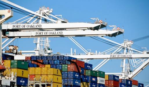 鱼头鸡爪图片__鱼头烧鸡爪的做法大全