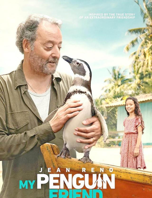《我的企鹅朋友》:跨物种的真挚友谊丨影评__《我的企鹅朋友》:跨物种的真挚友谊丨影评