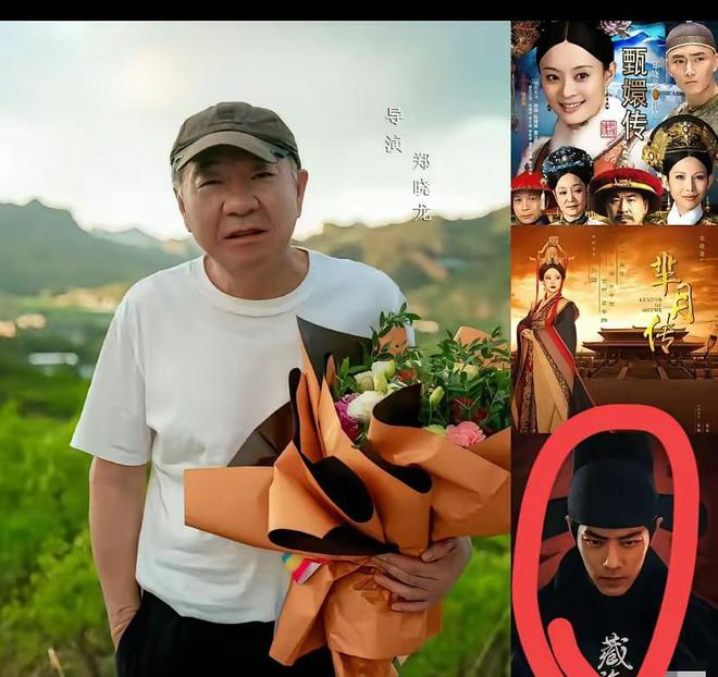 甄嬛传好看还是琅琊榜好看_琅琊榜凤囚凰甄嬛传_