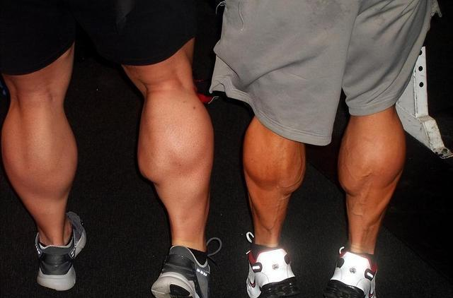 腿粗的长寿__寿命长短腿脚知道