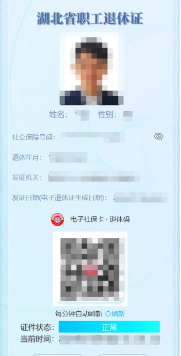 _湖北退休认证网上如何办理_湖北省退休认证app