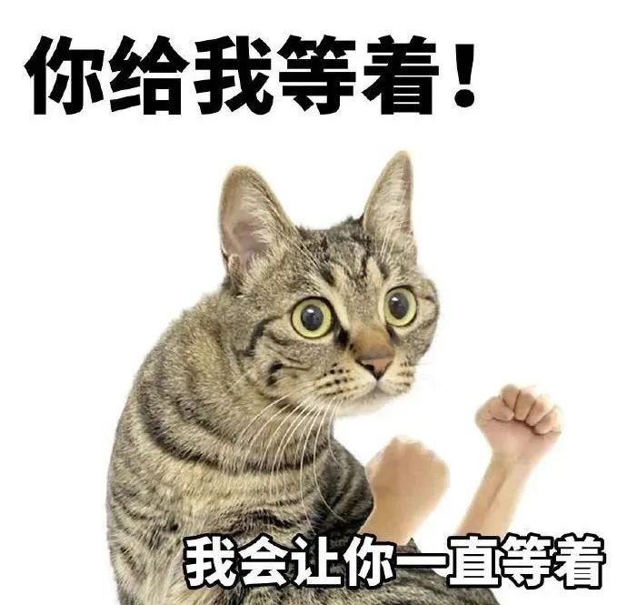 呆妹儿千万粉丝直播竟只有2千人在线观看，网友称其可以退播结婚了，其称结婚要分一半财产出去，目前不愿意！