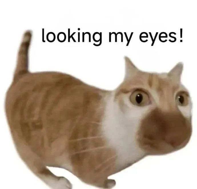 呆妹儿千万粉丝直播竟只有2千人在线观看，网友称其可以退播结婚了，其称结婚要分一半财产出去，目前不愿意！