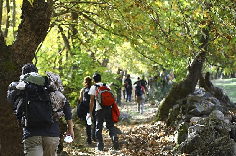 _强迫游客购物怎么处理案例分析_旅游强迫消费案例分析