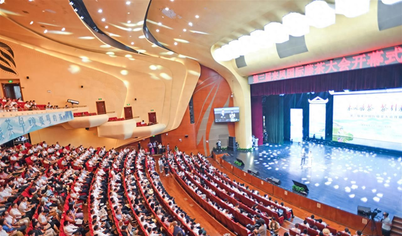 来凤藤茶协会__来凤凤雅藤茶网站